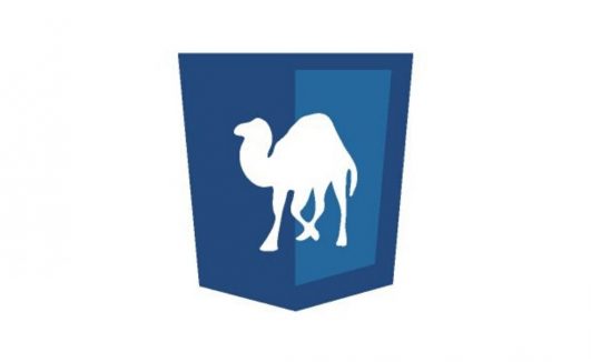 Perl courses