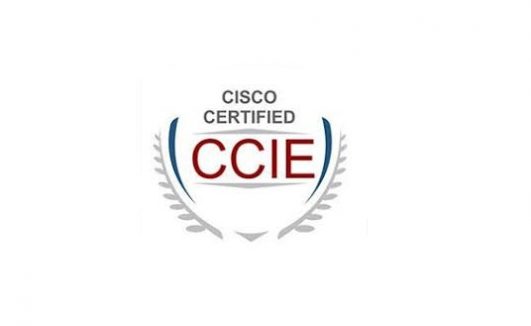 Cisco Certified Internetwork Expert Course