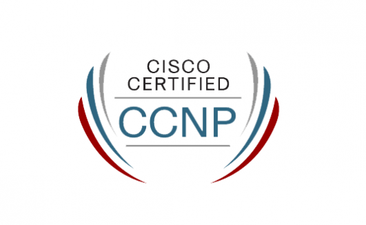 Cisco Certified Network Professional Course