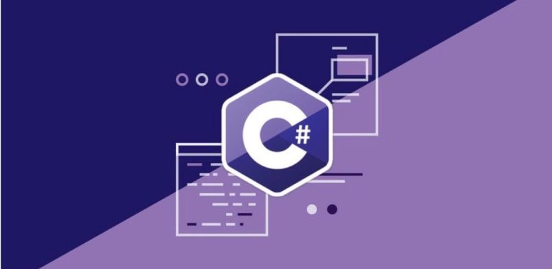 C# Developer Salary Trends in South Africa